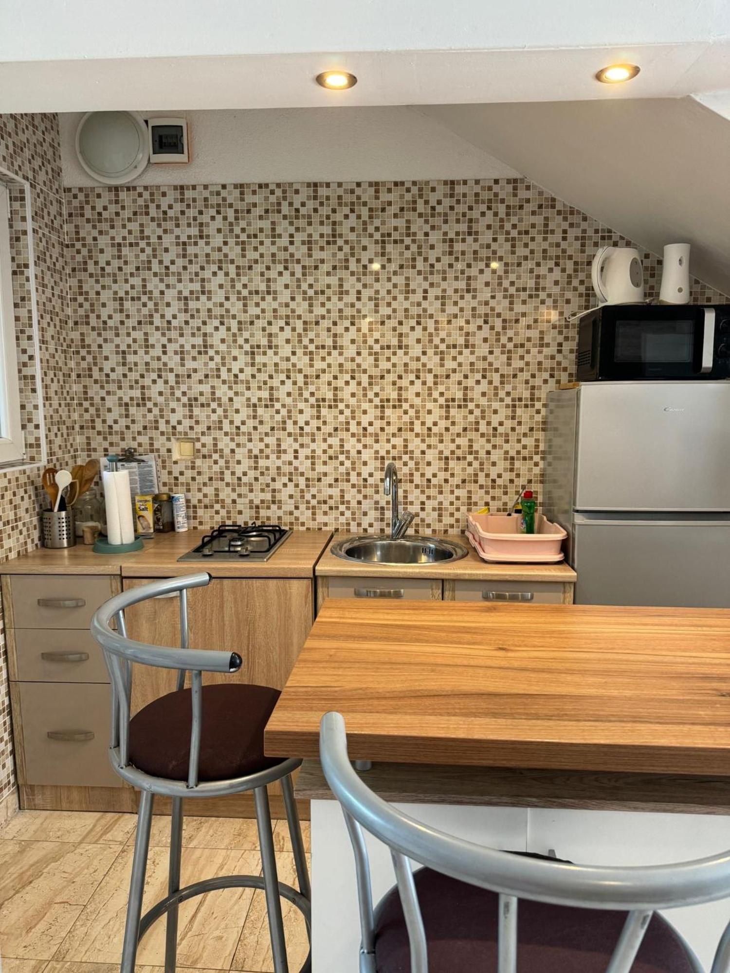 Studio Apartments Mt Šmrika エクステリア 写真